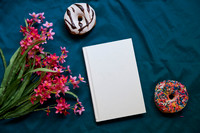 SeptFlatLay03-10-23KCP_9995