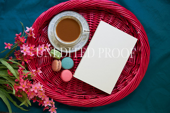 SeptFlatLay03-10-23KCP_9972