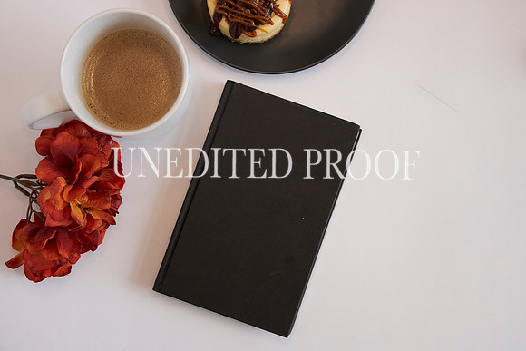 SeptFlatLay02-10-23KCP_9891