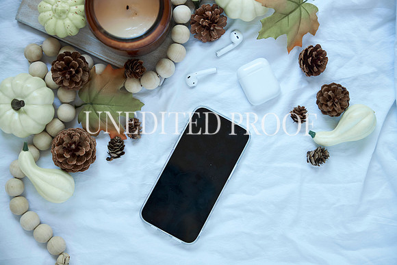 FlatLayKCP_8685