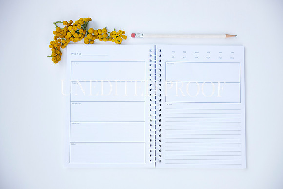 Flatlay-KCP_8140