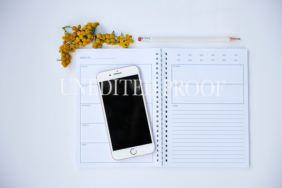 Flatlay-KCP_8144
