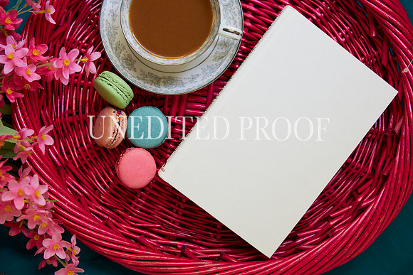 SeptFlatLay03-10-23KCP_9974